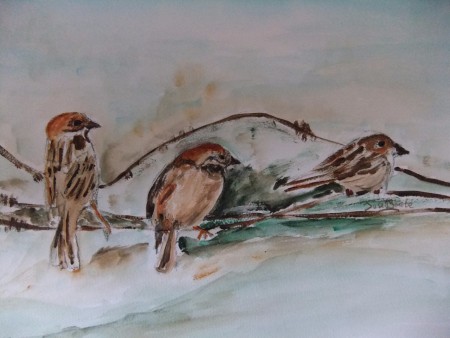 Mussen,2013 aquarel,Verkocht